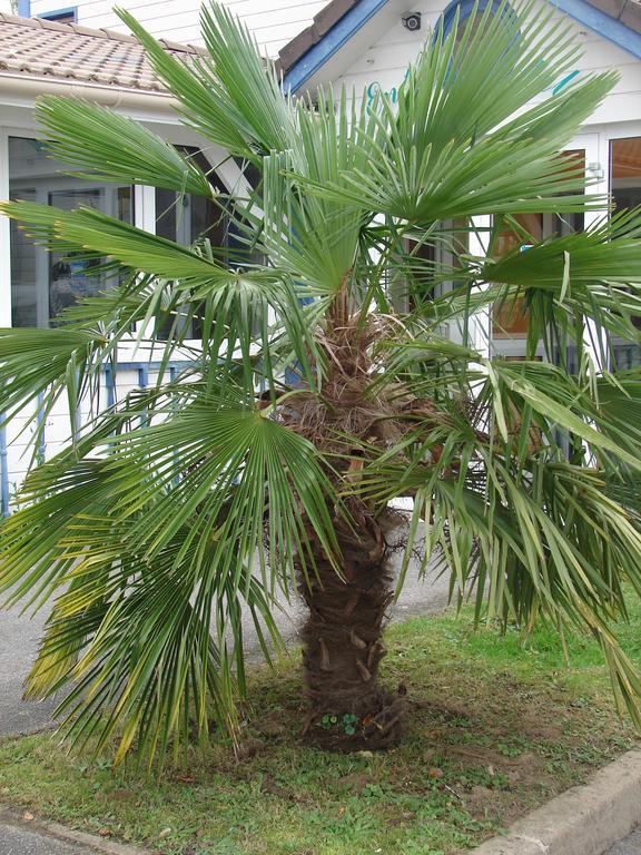 Budget Hotel Melun Sud - Dammarie Les Lys 외부 사진